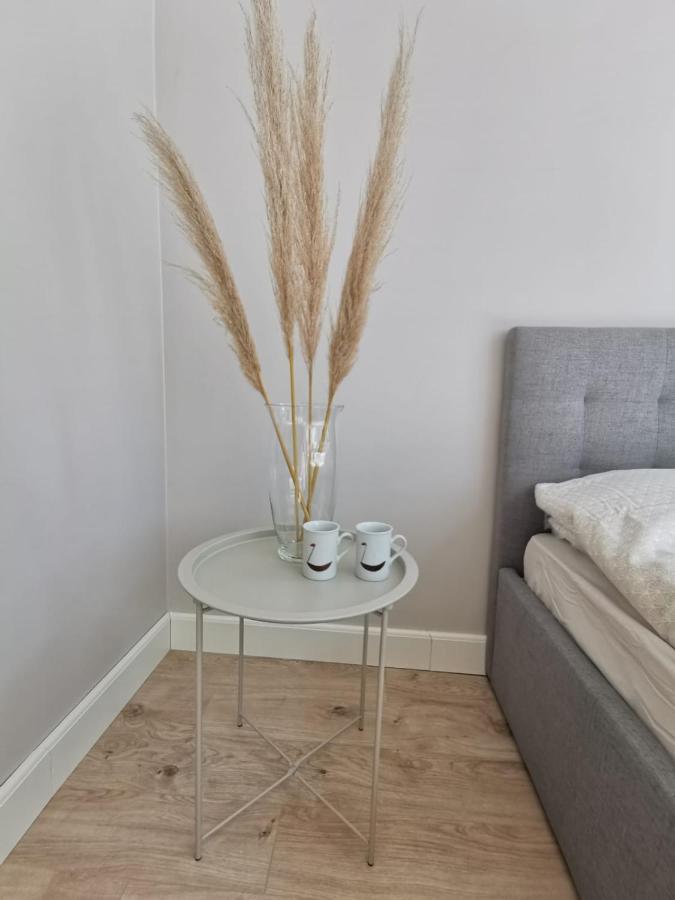 Tolstoi Scandinavian 1 Bedroom Apartment + Free Parking Тарту Екстер'єр фото